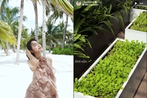 Doãn Hải My tự tay chăm từng góc biệt thự chục tỷ 