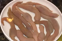 Loại cá nghe tên ngượng đỏ mặt giá "chát" được săn lùng