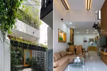 Nhà phố 50m2 trong hẻm nhỏ ngập ánh sáng và cây xanh