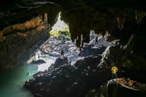 View - Tận mục loài hoa hiếm mới phát hiện ở VQG Phong Nha - Kẻ Bàng | Báo Tri thức và Cuộc sống - TIN TỨC PHỔ BIẾN KIẾN THỨC 24H