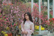 Người dân Thủ đô háo hức du xuân ngày mùng 1 Tết Bính Ngọ 