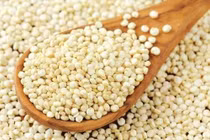 Loại hạt cứu đói thời bao cấp thành đặc sản được săn lùng 