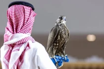 Con chim 4,5 tỷ đồng, đại gia vẫn quyết xuống tiền