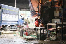 Không đảm bảo vệ sinh, những điểm giết mổ gia cầm ở Hà Nội vẫn ngang nhiên hoạt động