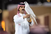 Chim ưng trắng siêu hiếm được bán với giá 8,4 tỷ đồng