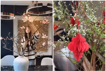 Cận cảnh căn hộ ngập sắc hoa đón Tết Bính Ngọ 2026 của Hoa hậu Đỗ Hà