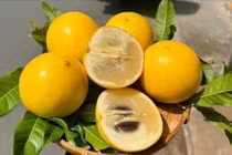 Loại quả từng 'đắt như vàng' nay bán rẻ hơn cho