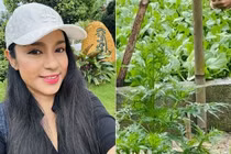 Mê mẩn nhà vườn 3.000m2 ngập tràn rau xanh của Việt Trinh