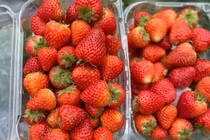 Dâu tây Trung Quốc bán đầy chợ, làm sao để phân biệt với dâu Mộc Châu? 