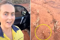 Tìm thấy cục vàng 3 tỷ, cô gái mừng hơn trúng số 