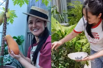 Cận cảnh penthouse 650m2 ngập cây xanh của diva Hồng Nhung 