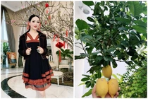 Bên trong biệt thự 1.000m2 đón Tết của Hoa hậu Giáng My