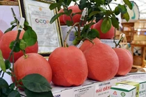 Những đặc sản hút khách tại Hội chợ Mùa Xuân 2026