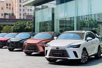 Lexus bán được bao nhiêu xe sang sau 13 năm có mặt tại Việt Nam?