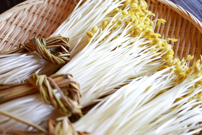 Video: Vì sao giá đỗ khổng lồ Nhật Bản dài 40 cm có giá đắt đỏ?