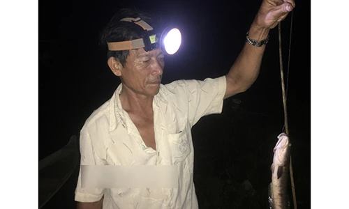 Video: Cần thủ hé lộ tuyệt chiêu câu cá lóc đồng bằng mồi nhái nhàn tênh