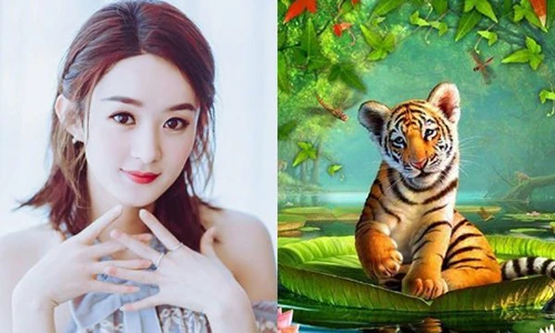 3 con giáp giàu sụ khiến ai cũng ghen tỵ 2 tháng đầu năm 2019