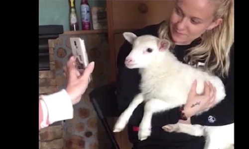 Video: Khi thú cưng còn mê công nghệ hơn cả chủ