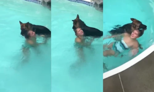 Video: Chủ giả vờ chết đuối, ngỡ ngàng trước hành động của chó