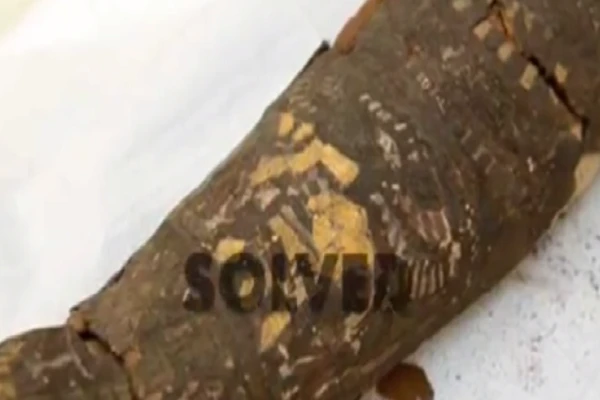 Video: Kinh hoàng bí ẩn xác ướp chim cổ đại 2.100 tuổi