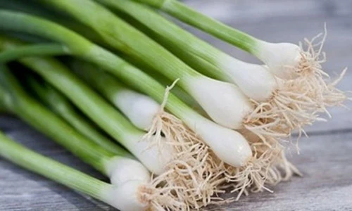 Video: Lợi ích thần kỳ từ việc ăn hành thường xuyên