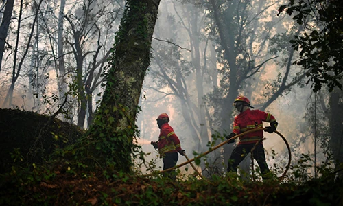 Sức tàn phá của "ngọn lửa hủy diệt" ở Bồ Đào Nha