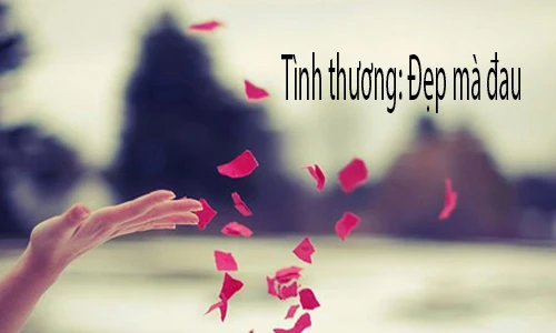 Video: Có ai định nghĩa được tình thương?