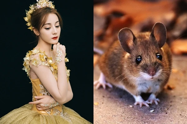 Sau ngày Giỗ Tổ, 3 con giáp này mua nhà tậu xe, giàu lên chóng mặt