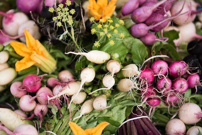 Video: Khu vườn chuyên trồng rau củ tí hon cho các nhà hàng tốt nhất thế giới