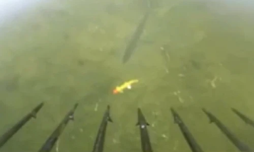 Ngồi trong lều bắt cá bằng lao ở Bắc Cực