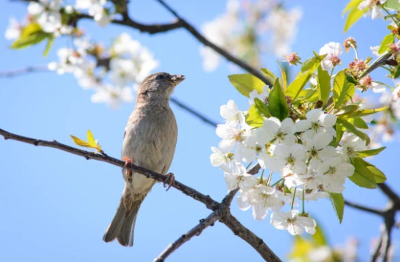 Ghen tỵ 4 con giáp vấp ngã năm 2021, thuận buồm xuôi gió năm 2022