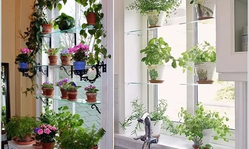 Tận dụng đồ tái chế tạo khu vườn mini độc đáo