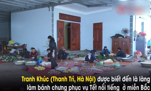Video: Đột nhập thủ phủ bánh chưng miền Bắc ngày giáp Tết