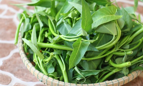 Video: Sự thật ăn rau muống chưa chín sẽ bị xơ gan