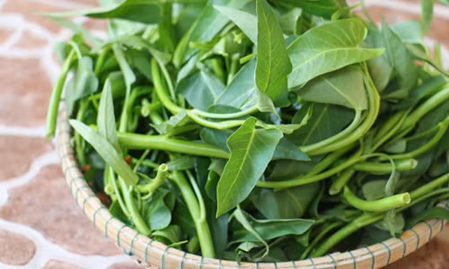 Video: Sự thật ăn rau muống chưa chín sẽ bị xơ gan