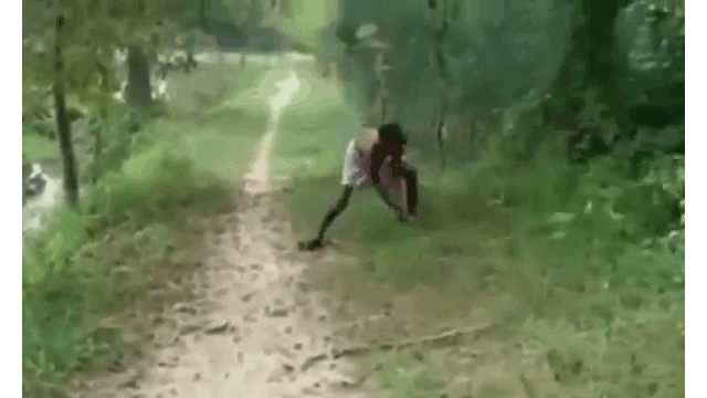 Video: Cha dùng tay không quật chết rắn hổ mang chúa để trả thù cho con