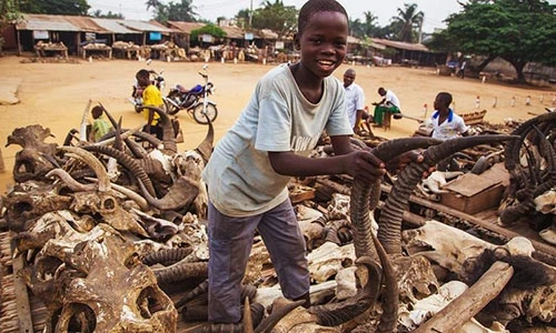 Ám ảnh tại chợ bùa ngải lớn nhất thế giới ở châu Phi