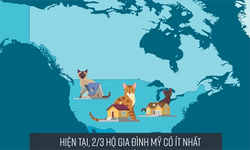 Giải mã cách thức "thống trị" thế giới của loài mèo