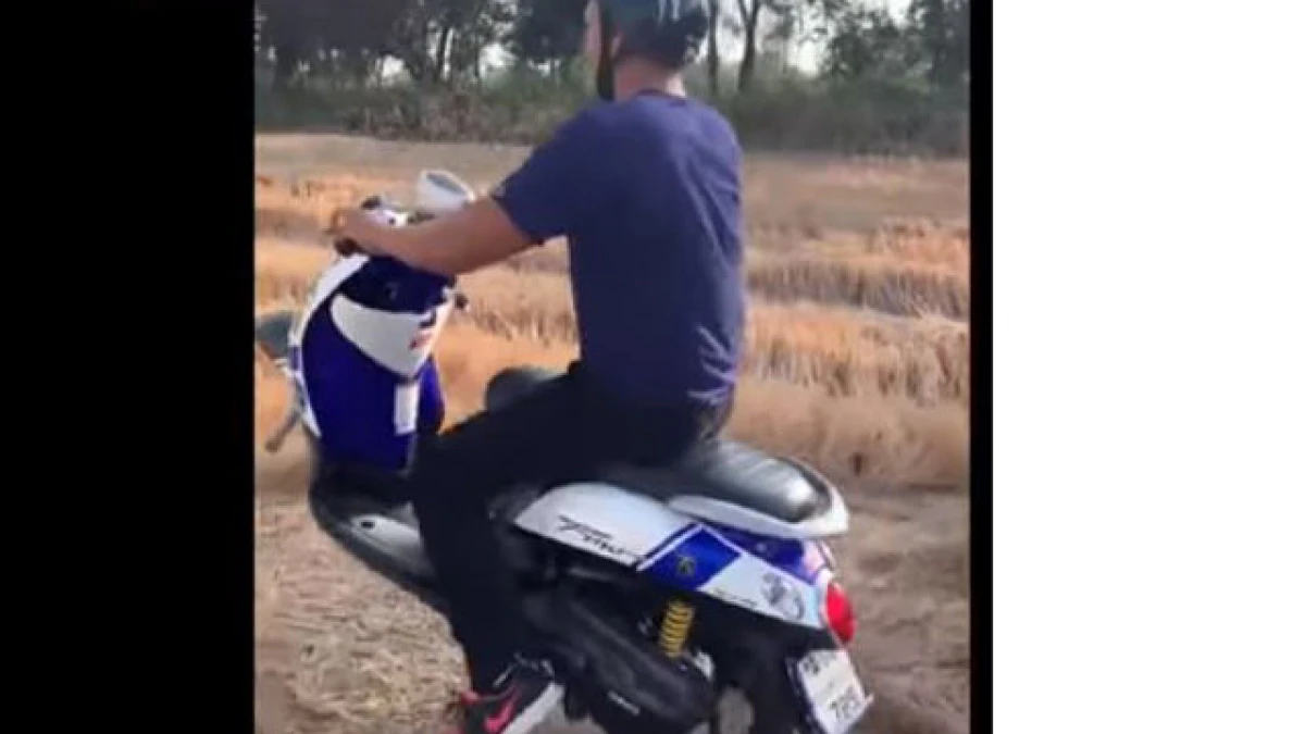 Video: "Quái xế" bốc đầu xe trên ruộng lúa và cái kết ê chề