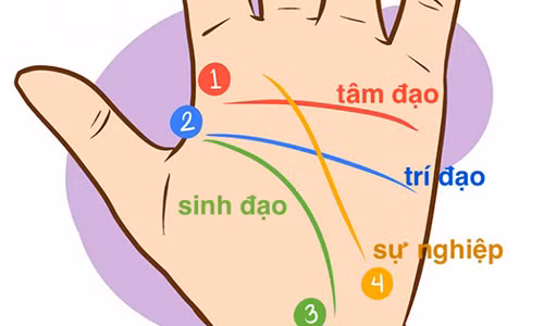 Video: Thành chuyên gia nhân tướng học chỉ với 10 bí kíp xem chỉ tay này