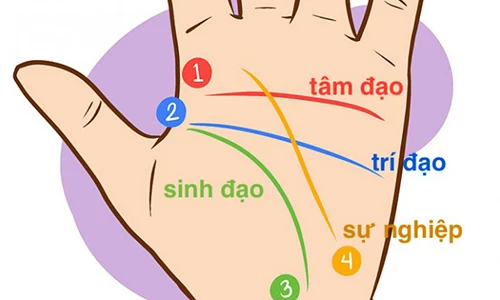 Video: Thành chuyên gia nhân tướng học chỉ với 10 bí kíp xem chỉ tay này