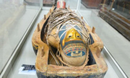 Video: Có những nỗi nhớ đánh đổi cả cuộc đời