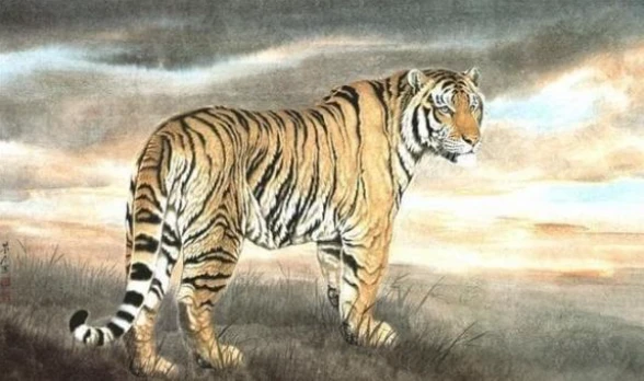 Tuần mới (8 - 14/11): 3 con giáp ngã ngay hố vàng, tiền vô dư dả 