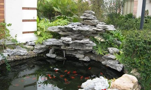 Video: Có 2 vật báu này trong nhà, điều diệu kỳ sẽ đến với chủ nhân