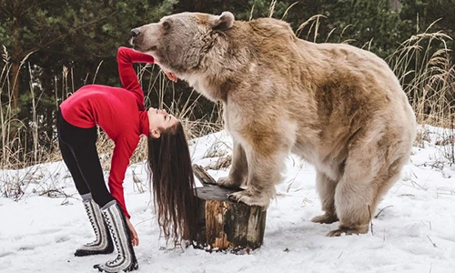 Mãn nhãn những động tác uốn dẻo của cô gái với gấu nâu khổng lồ