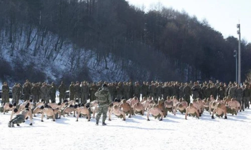 Hàng trăm lính thủy đánh bộ Mỹ - Hàn tập trận giữa thời tiết âm 20 độ C