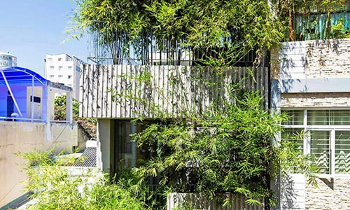 Ngôi nhà tre khác lạ ở thành phố Hồ Chí Minh