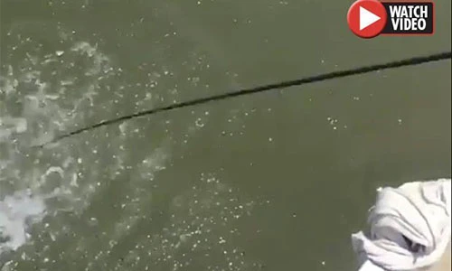 Video: Khuấy động mặt nước, thứ xuất hiện sau đó gây hãi hùng