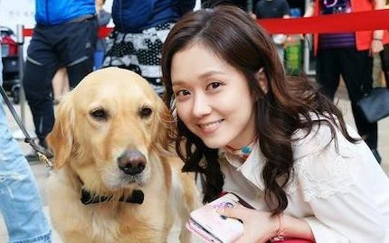 Video: Bận rộn với công việc, người Hàn Quốc cho thú cưng đi học mẫu giáo