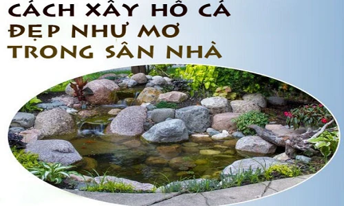 Tự xây hồ cá đẹp như mơ trong sân nhà